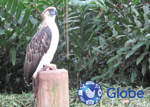 Globe Business furthers its commitment to uplift state of PH environment