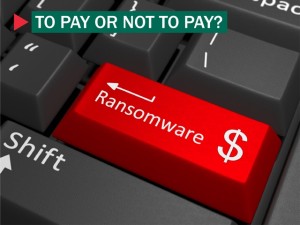 Kaspersky Lab and Dutch Police Ends Nightmare of CoinVault and Bitcryptor Ransomware Victims Worldwide