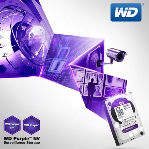 WD scales up Surveillance-Class Hard Drive Line
