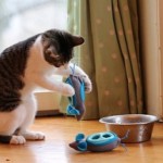 Say goodbye to fat cats with the new set of mouse shaped food pods
