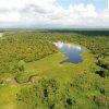 PLDT-Smart to deploy drones to preserve Philippines’ peatlands