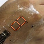 A newly developed e-skin that turns a wearer’s body into a walking display