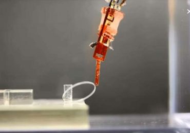 Tokyo scientists create ‘biohybrid’ robot made with live muscle tissue from rats
